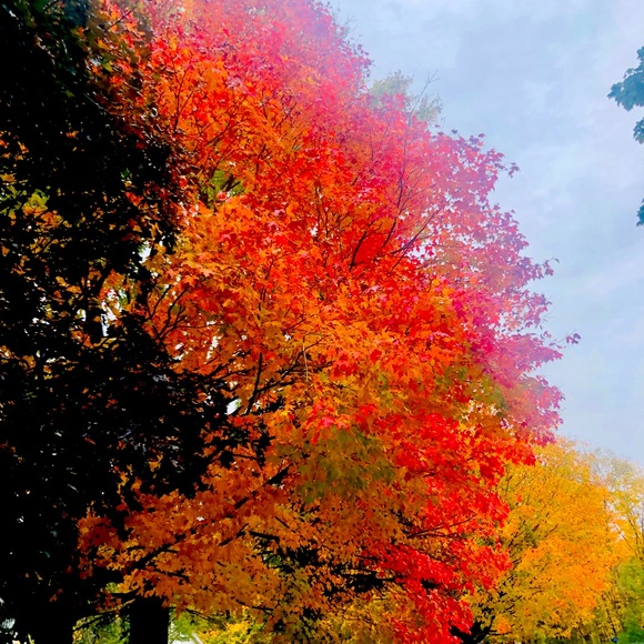 Meet your Posher, Carys B - Picture 1 of 1